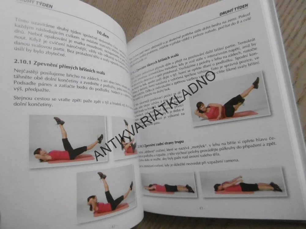 TŘI TÝDNY S OLGOU ŠÍPKOVOU, OLGA ŠÍPKOVÁ, **an
