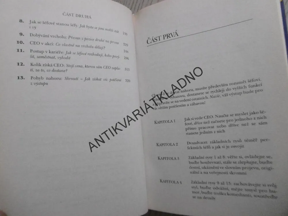JAK PŘEMÝŠLÍ AMERICKÝ ŠÉF?, DEBRA BENTONOVÁ, **an