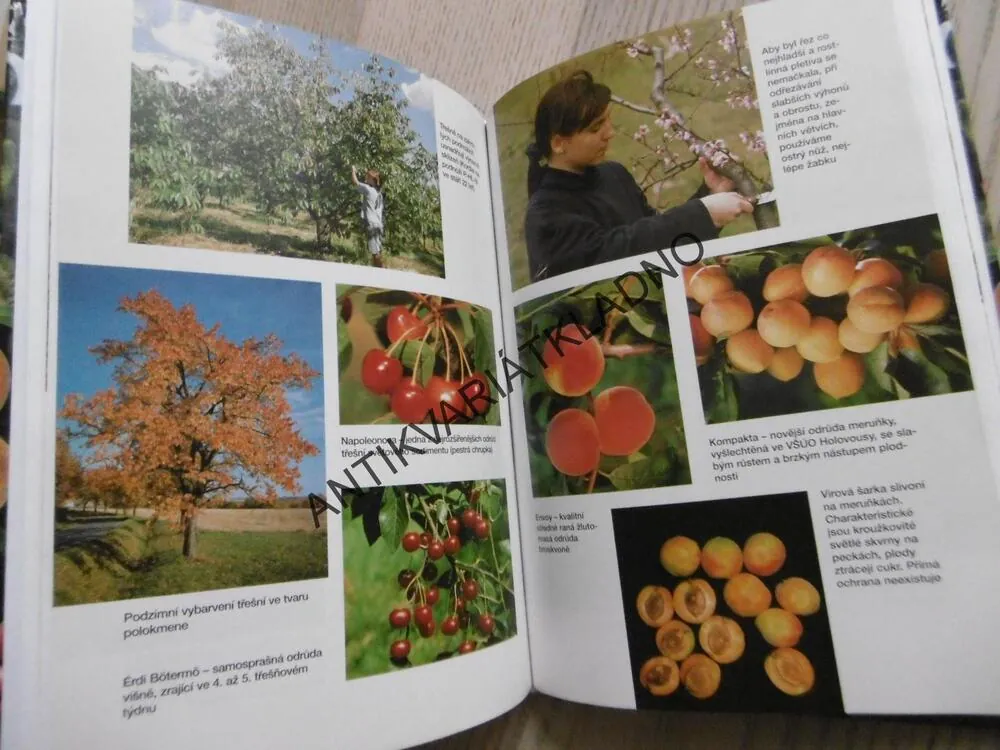 365 DNŮ S OVOCEM, JOSEF SUS, **an