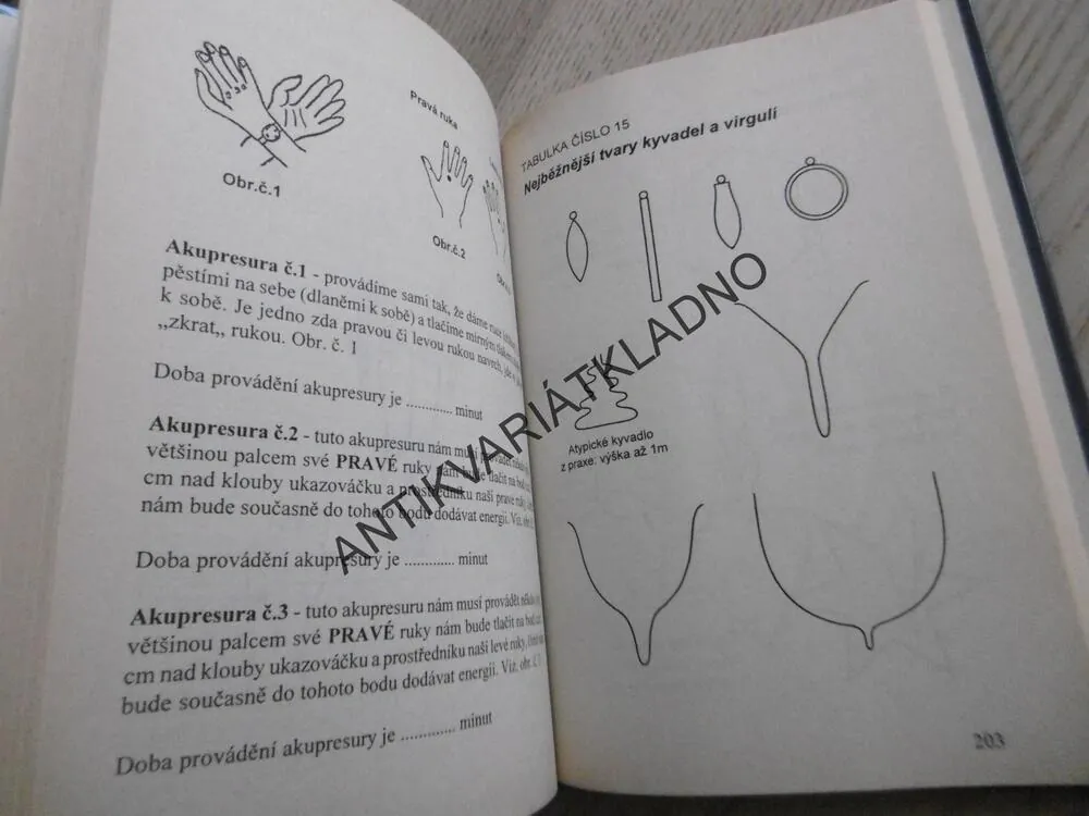 ŠKOLA PSYCHOTRONIKY, STANISLAV BRÁZDA, **an