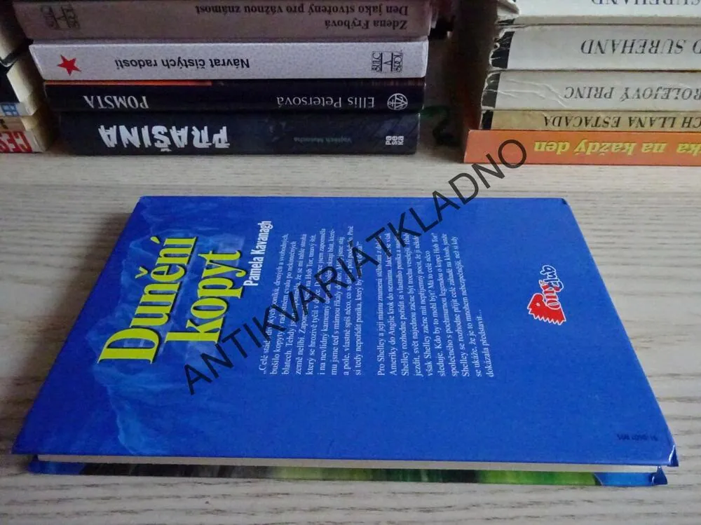 DUNĚNÍ KOPYT, PAMELA KAVANAGH, **an