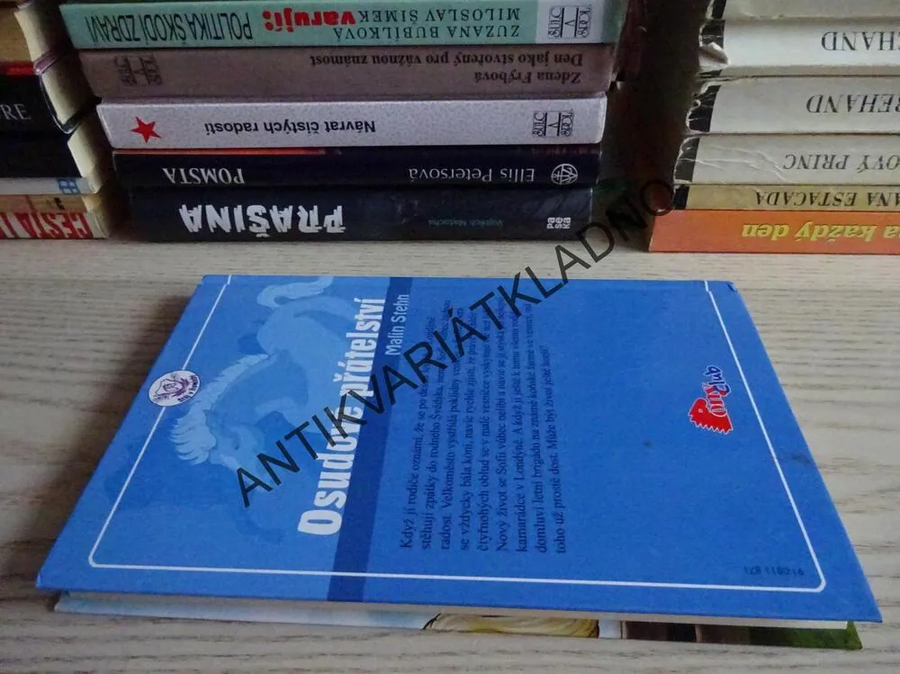 OSUDOVÉ PŘÁTELSTVÍ, MALIN STEHN, **an
