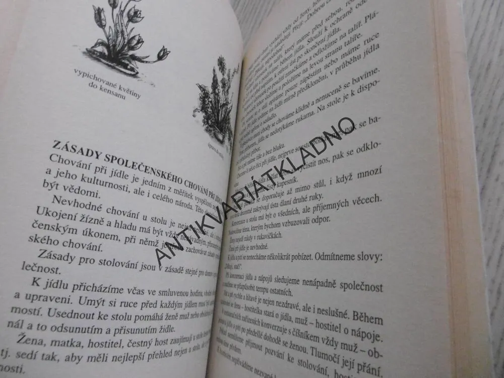 JAK SE CHOVAT VE SPOLEČNOSTI, IVO SEDLÁČEK, **an