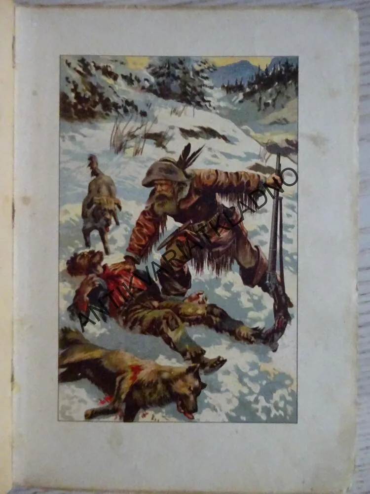 JIM, ZÁLESÁK AMERICKÝ, HEINRICH FRANTIŠEK