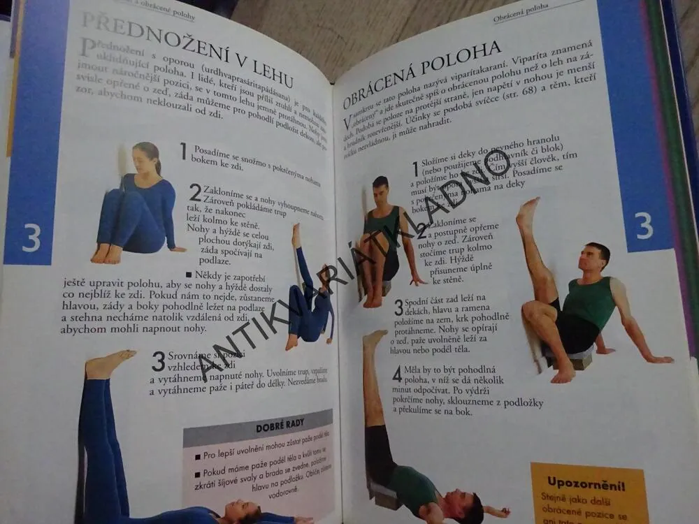ZÁKLADY JÓGY, PRO ZDRAVÍ A KRÁSU, ROSAMUND BELLOVÁ, **an