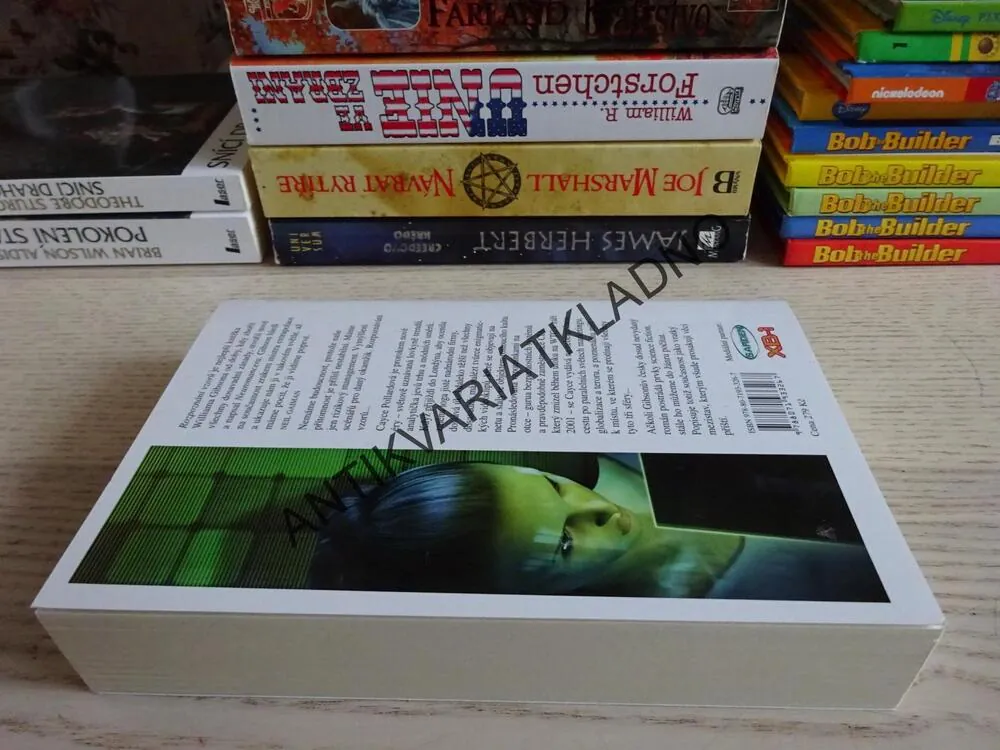 ROZPOZNÁNÍ VZORŮ, WILLIAM GIBSON, **an