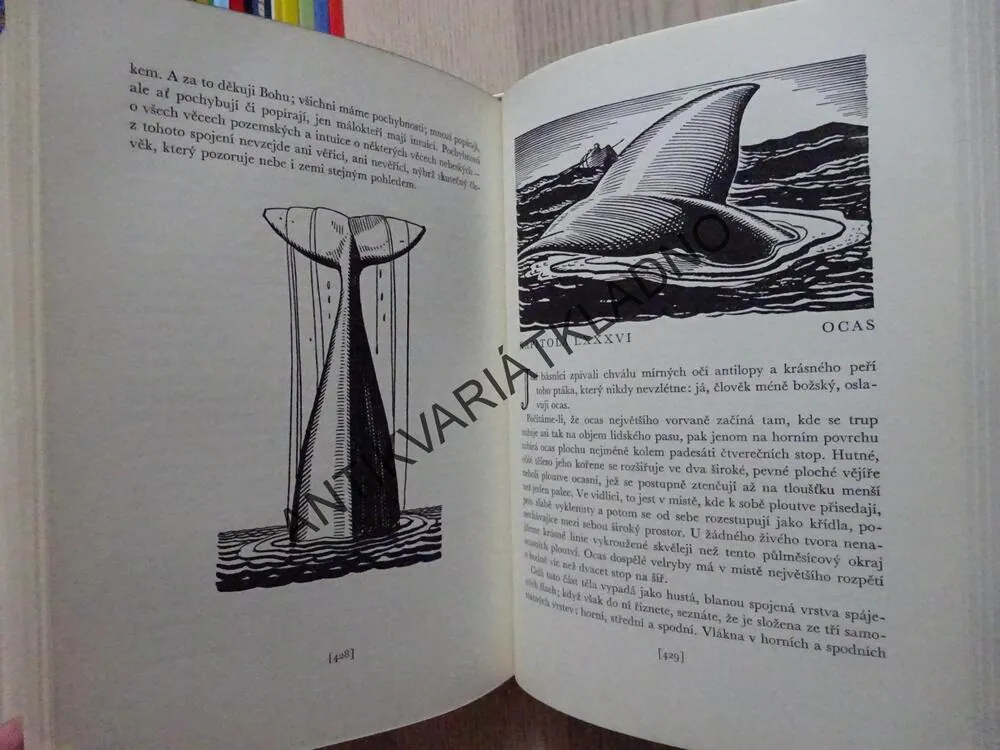 BÍLÁ VELRYBA, HERMAN ,ELVILLE, ROCKWELL KENT, **an