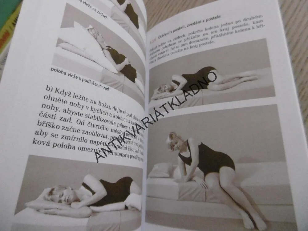 CVIČÍME V TĚHOTENSTVÍ, CHANTALE DUMOULIN, **an