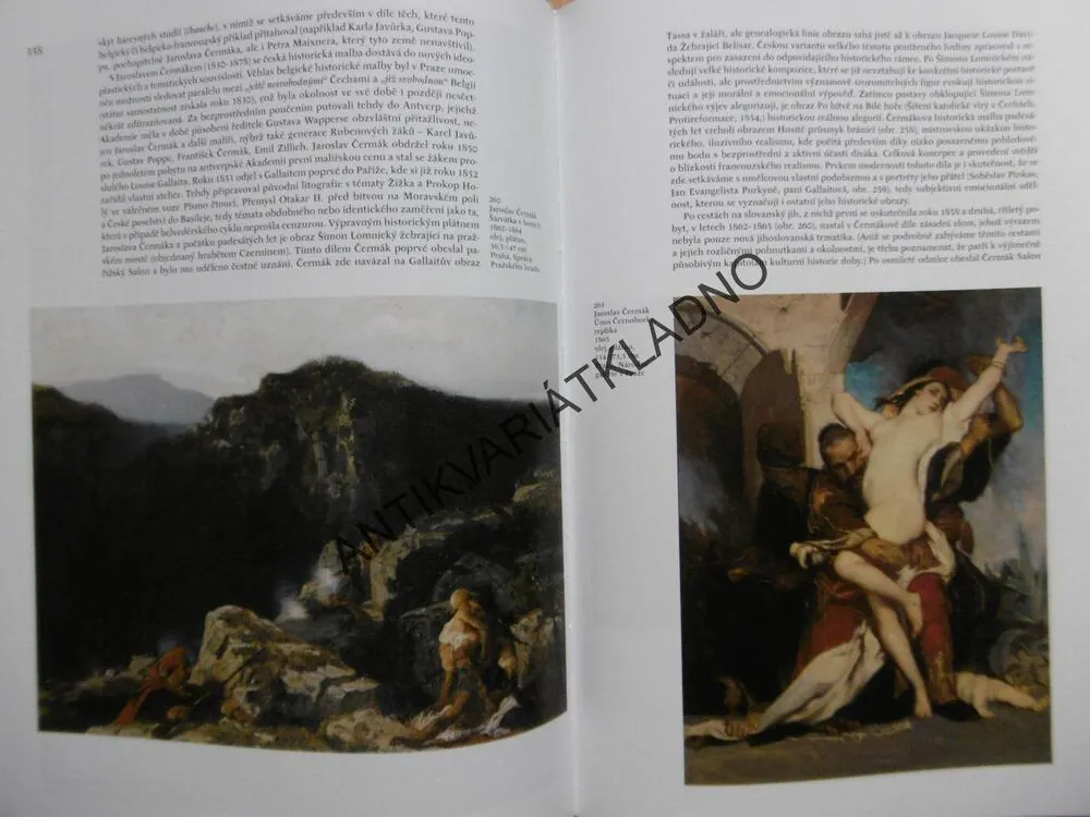 DĚJINY ČESKÉHO VÝTVARNÉHO UMĚNÍ 1780/1890 (III/1)
