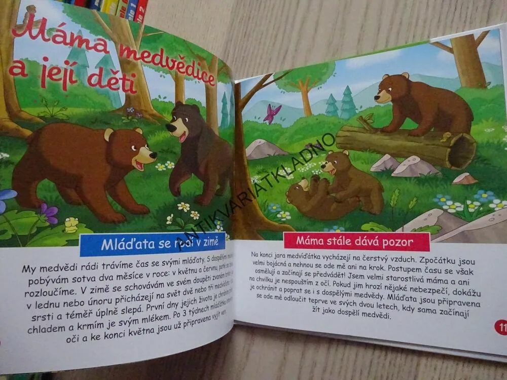 MEDVĚD, BYDLÍM V LESE 2, **an