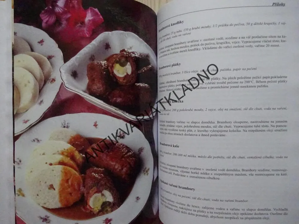 TRADIČNÍ ČESKÁ JÍDLA PRO KAŽDOU PŘÍLEŽITOST, 1000 RECEPTŮ, MILUŠE HORÁČKOVÁ, **an