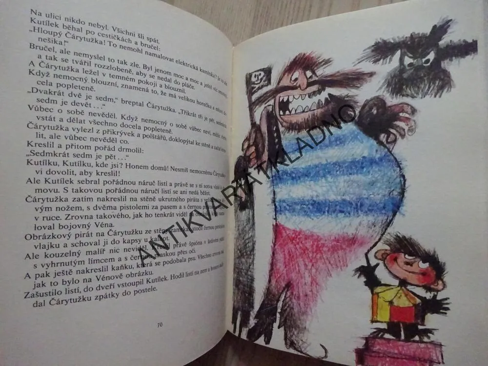 LUPIČI A ČÁRYTUŽKA, JURIJ DRUŽKOV, **an
