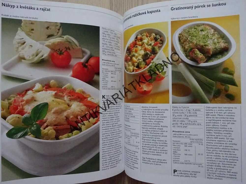 VELKÁ KUCHAŘKA PRO KOMBINOVANÉ MIKROVLNNÉ TROUBY, EVELYN LIEPOLDOVÁ, **an