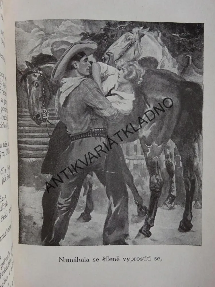 LOVEC DIVOKÝCH VČEL, 2 X ZANE GREY, **an