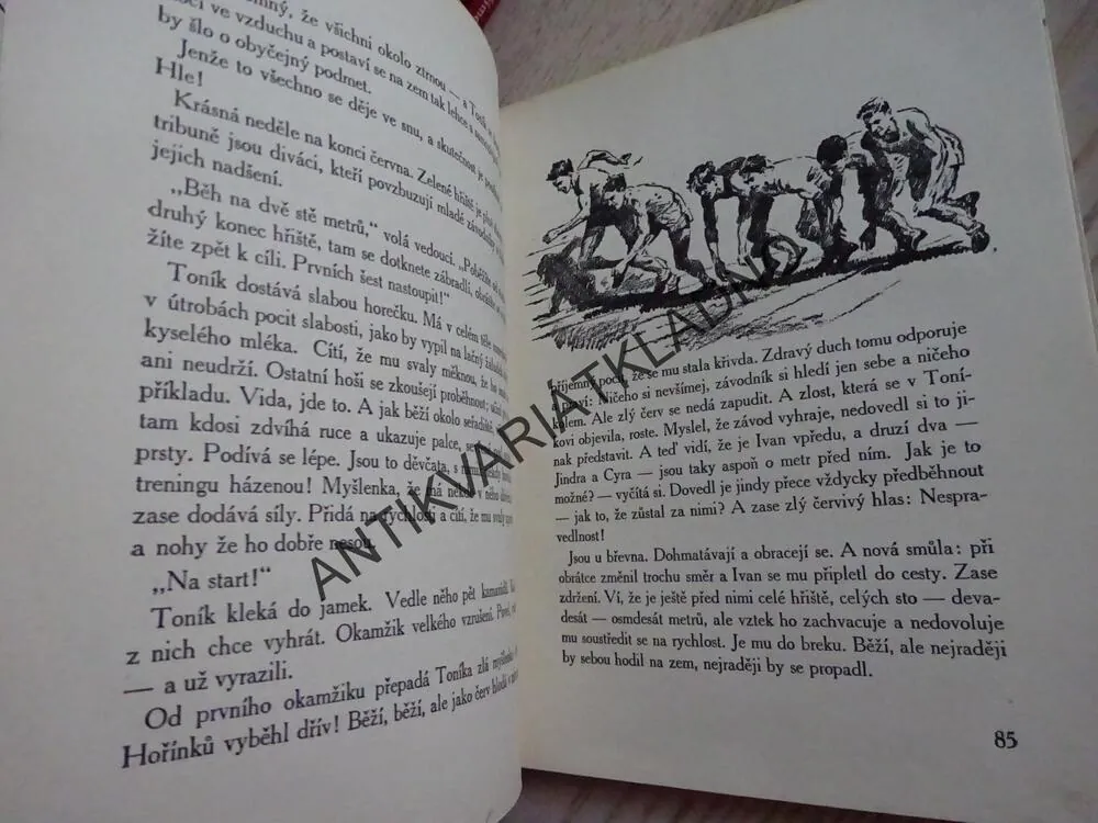 VLAJKA VÍTĚZŮ, FRANTIŠEK KOŽÍK, **an