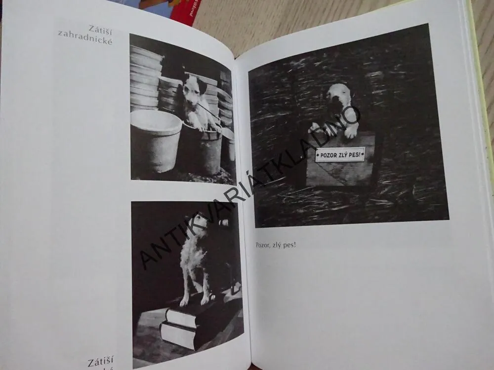 DÁŠENKA, ČILI ŽIVOT ŠTĚNĚTE, KAREL ČAPEK, **an