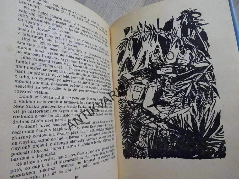 TAJEMSTVÍ MYSU WARDENCLYFF, JOSEF HONS, **an