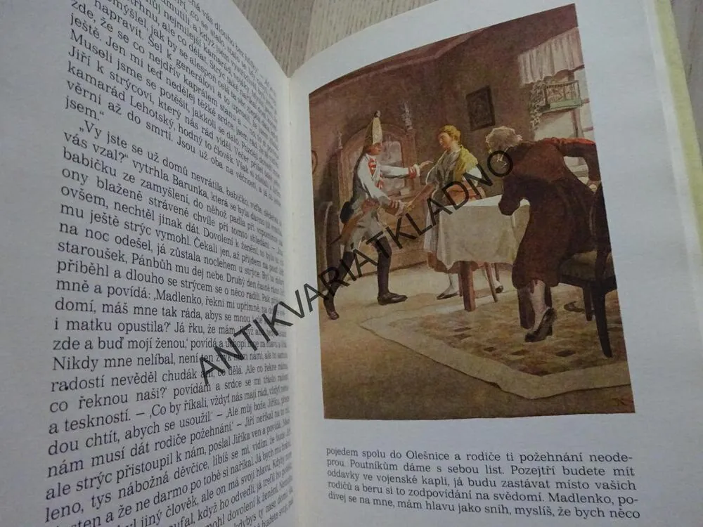 BABIČKA, BOŽENA NĚMCOVÁ, **an