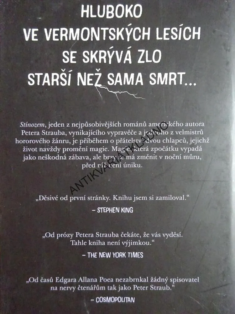 STÍNOZEM, PETER STRAUB, **an