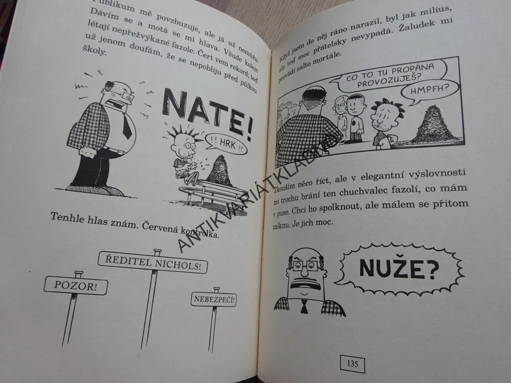 VELKEJ FRAJER NATE JE PROSTĚ TŘÍDA, KOMIKS, LINCOLN PEIRCE, **an