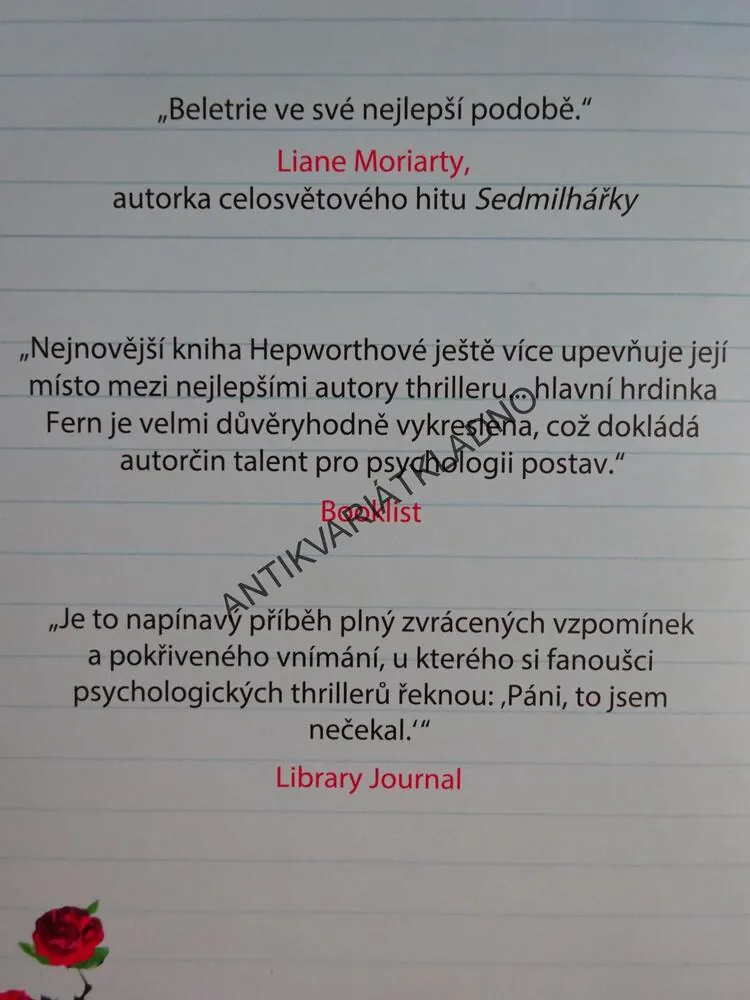 HODNÁ SESTRA, SALLY HEPWORTHOVÁ, **an