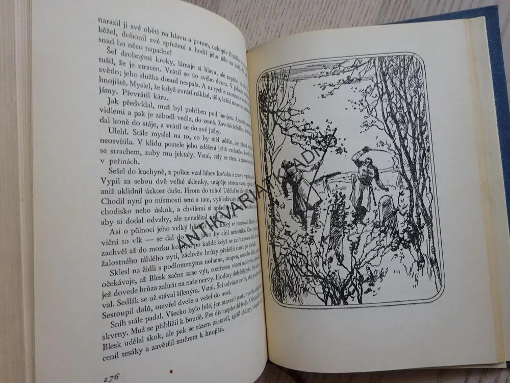 PŘÍBĚHY, GUY DE MAUPASSANT, **an