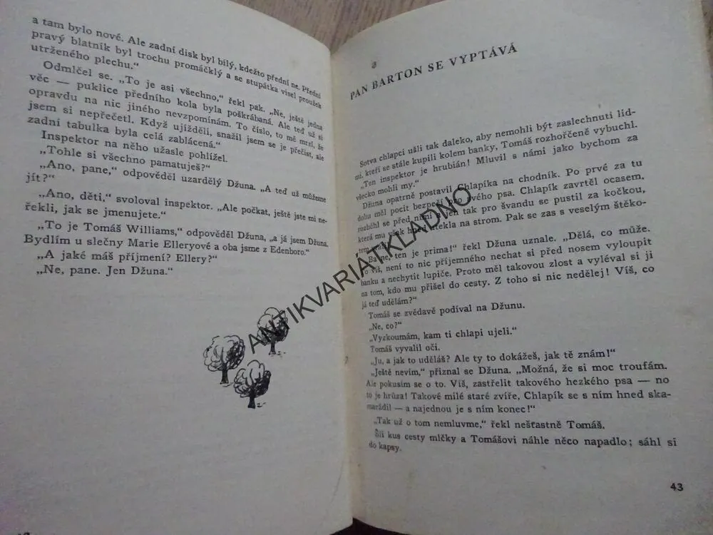TAJEMSTVÍ ČERNÉHO PSA, ELLERY QUEEN JR., **an