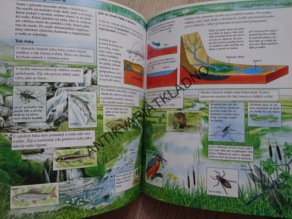 ENCYKLOPEDIE ŽIVÉHO SVĚTA, **an