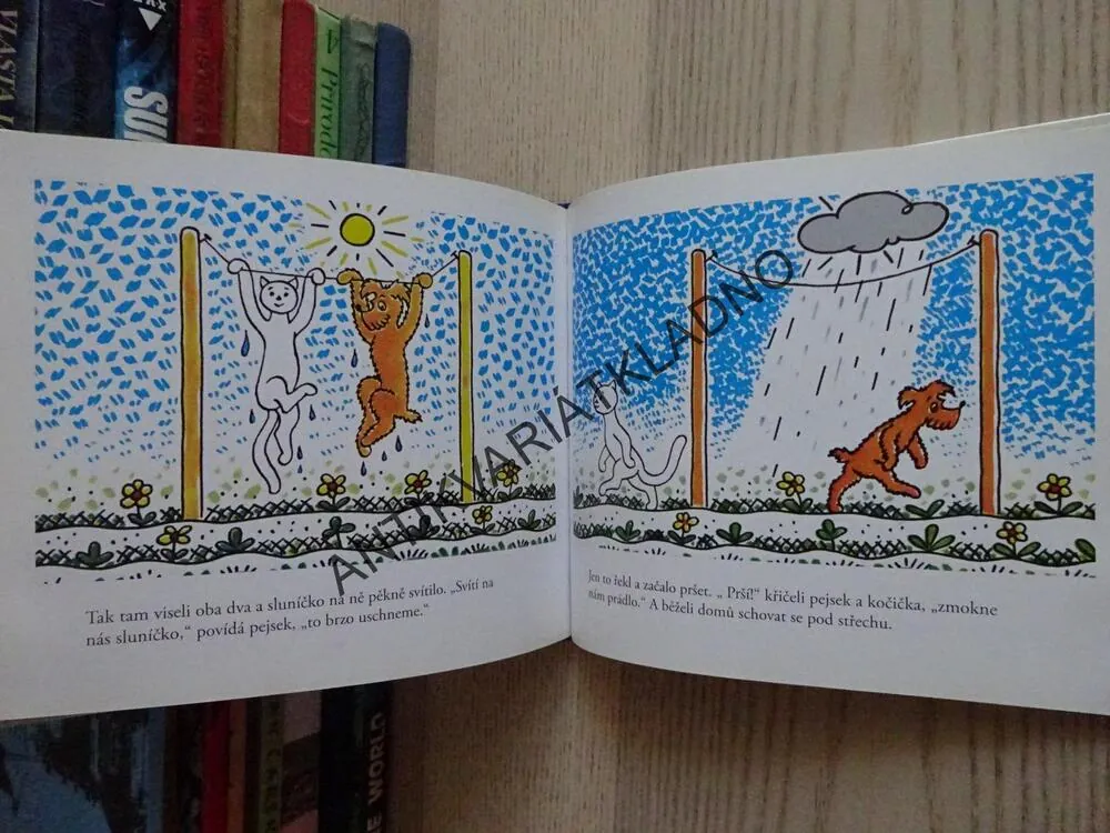 POVÍDÁNÍ O PEJSKOVI A KOČIČCE, JAK SI MYLI PODLAHU, JOSEF ČAPEK, **an