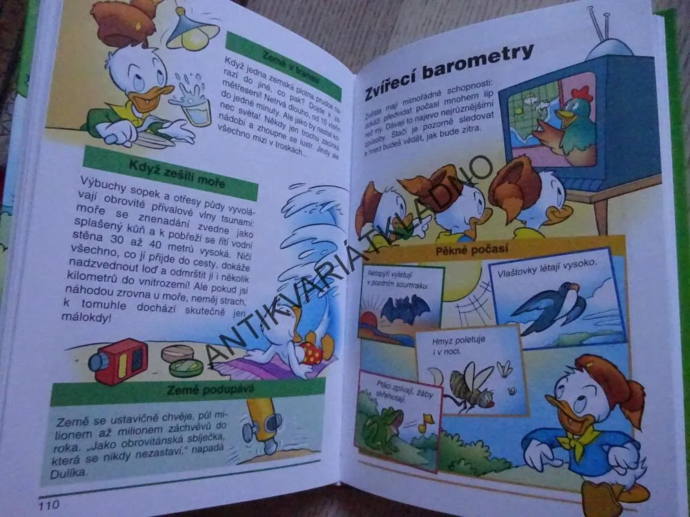 9. PŘÍRUČKA MLADÝCH SVIŠŤŮ, WALT DISNEY, **an