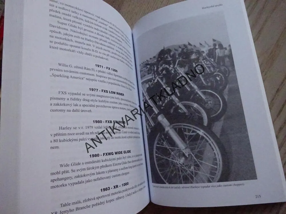 ONE PERCENTER, LEGENDA O MOTORKÁŘÍCH MIMO ZÁKON, DAVE NICHOLS, **an