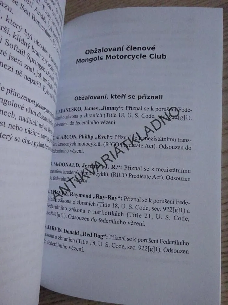 DVA ROKY S MONGOLY, WILLIAM QUEEN, **an