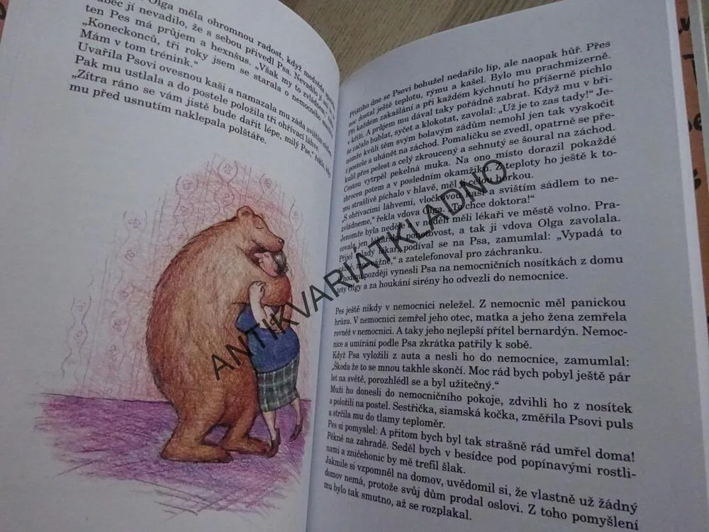 PAN PES A JEHO PŘÁTELÉ, CHRISTINE NÖSTLINGEROVÁ, **an