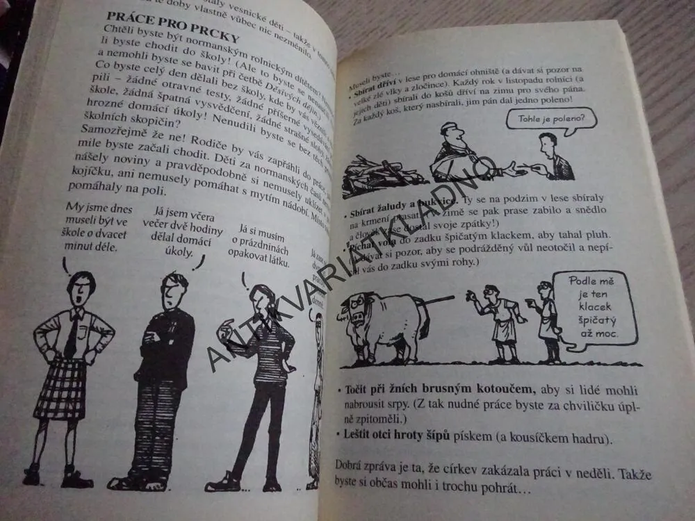 NIČEMNÍ NORMANÉ, TERRY DEARY, MARTIN BROWN, **an