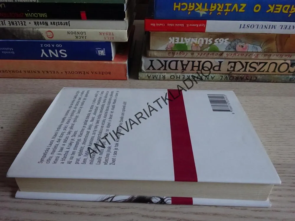 VSTUPENKA DO RÁJE, LENKA LANCZOVÁ, **an