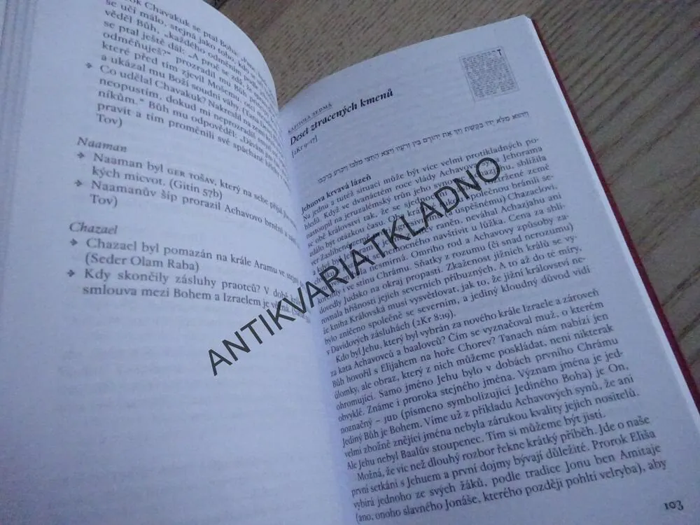 KRÁLOVÉ IZRAELE, JAN DIVECKÝ, PŘÍBĚHY BIBLICKÝCH HRDINŮ, **an