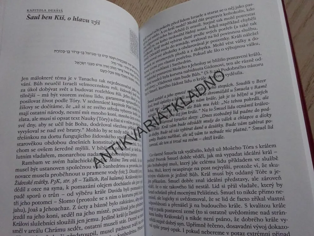 IZRAEL SOUDCŮ A KRÁLŮ, JAN DIVECKÝ, POKRAČOVÁNÍ PŘÍBĚHŮ TÓRY, **an