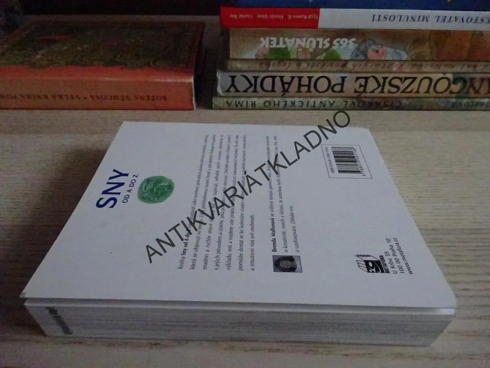 SNY OD A DO Z, BRENDA MALLONOVÁ, **an
