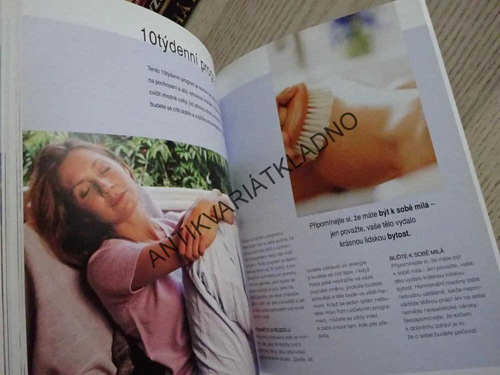 OPĚT VE FORMĚ, SALLY LEWISOVÁ, **an