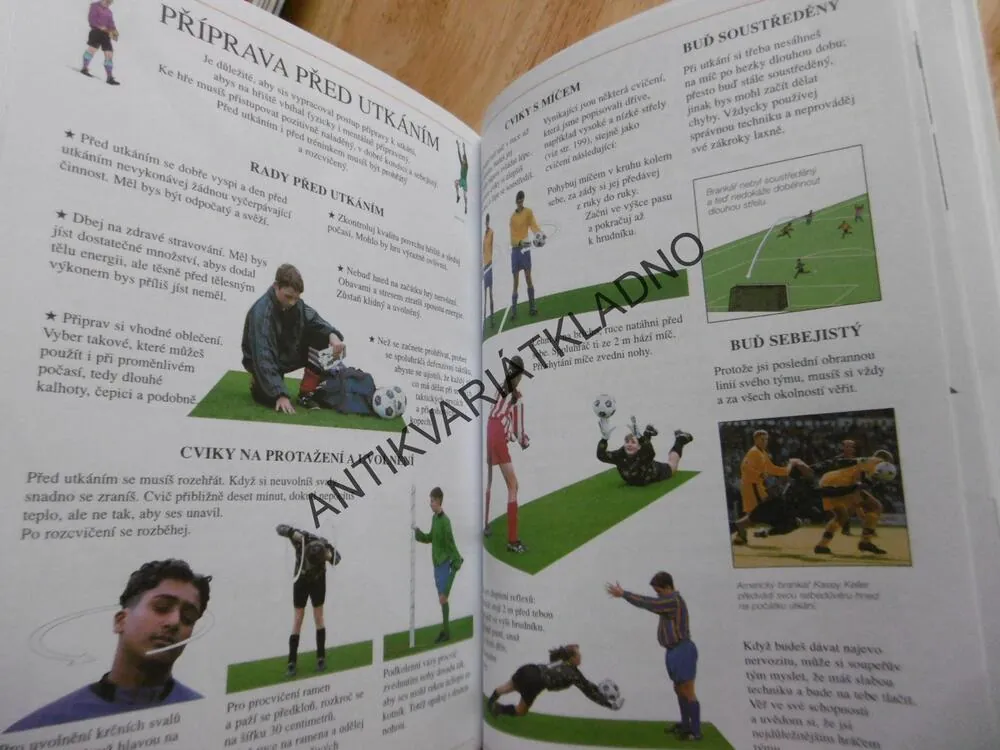 VELKÁ ŠKOLA FOTBALU, SPORT, FOTBAL,