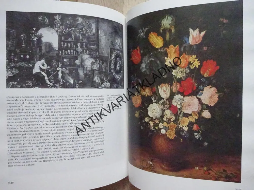 NIZOZEMSKÉ MALÍŘSTVÍ 15. A 16. STOLETÍ, JARMILA VACKOVÁ ,**an