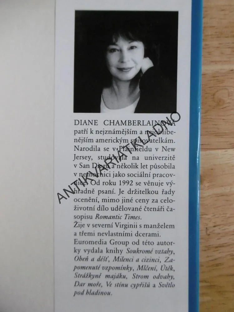 MATČIN STÍN, DIANE CHAMBERLAINOVÁ, **an