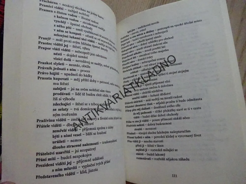 SNÁŘ, **an