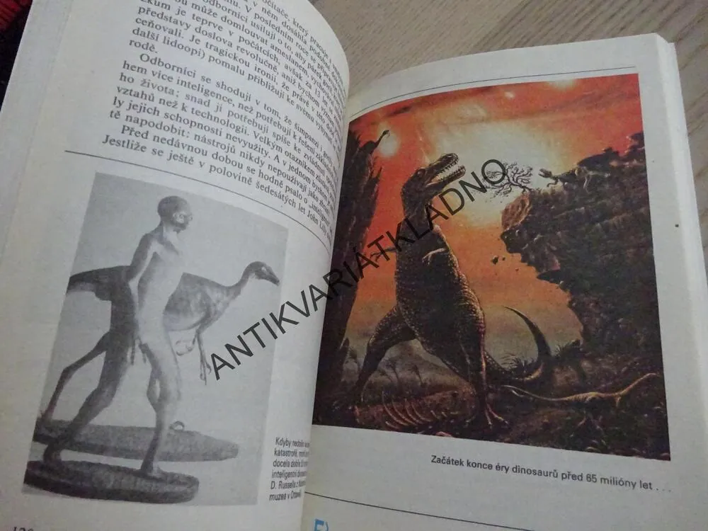 MIMOZEMSKÉ CIVILIZACE, MARCEL GRÜN, **an