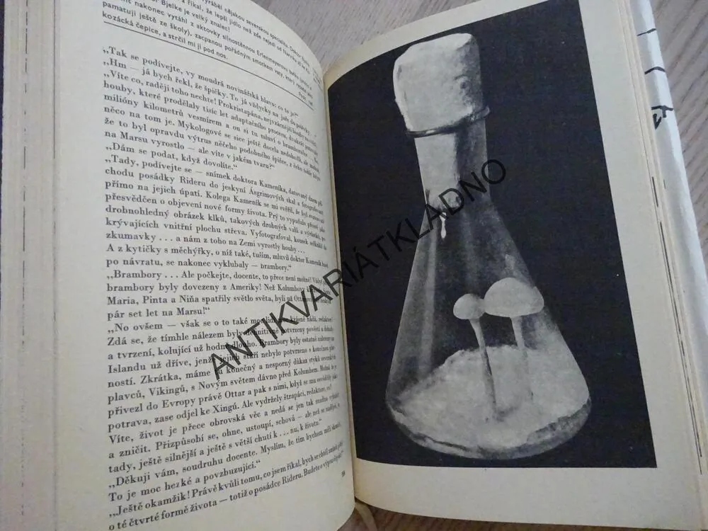 SLUNEČNÍ JEZERO, LUDVÍK SOUČEK, **an