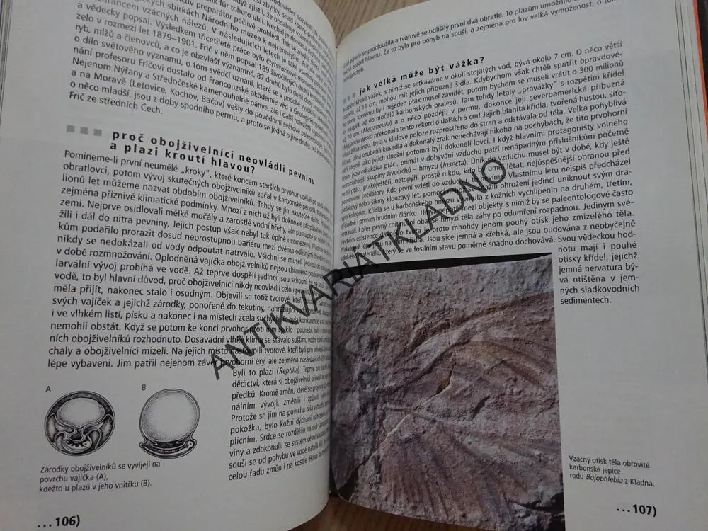 JAK SE LOVÍ DINOSAUŘI ANEB CO NEVÍTE O HISTORII ZEMĚ, BOŘIVOJ ZÁRUBA, **an