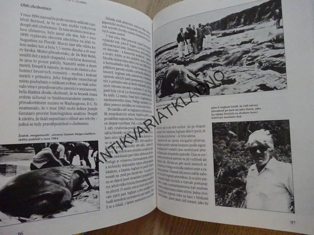 KRONIKA ZÁHAD A TAJEMSTVÍ ARTHURA C. CLARKA, SIMON WELFARE, JOHN FAIRLEY, **an