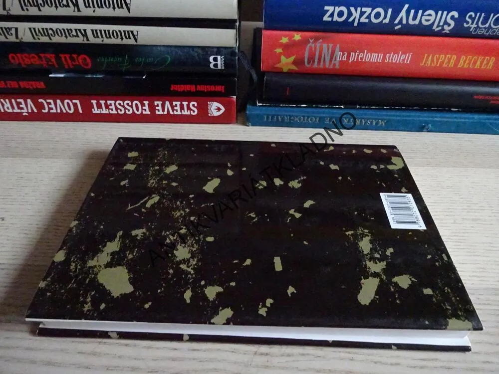 BRÁNY LISTOPADU, CHAIM POTOK, **an