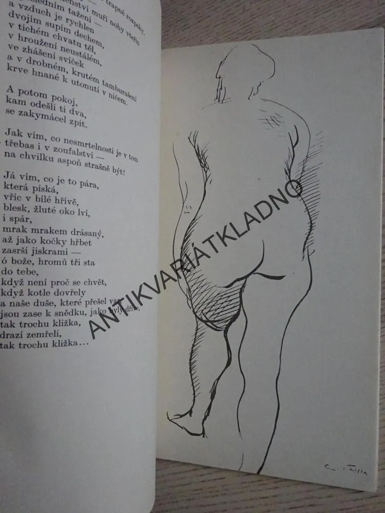 EMIL FILLA, TVARY LÁSKY, VÝTVARNÉ UMĚNÍ, UMĚLEC,