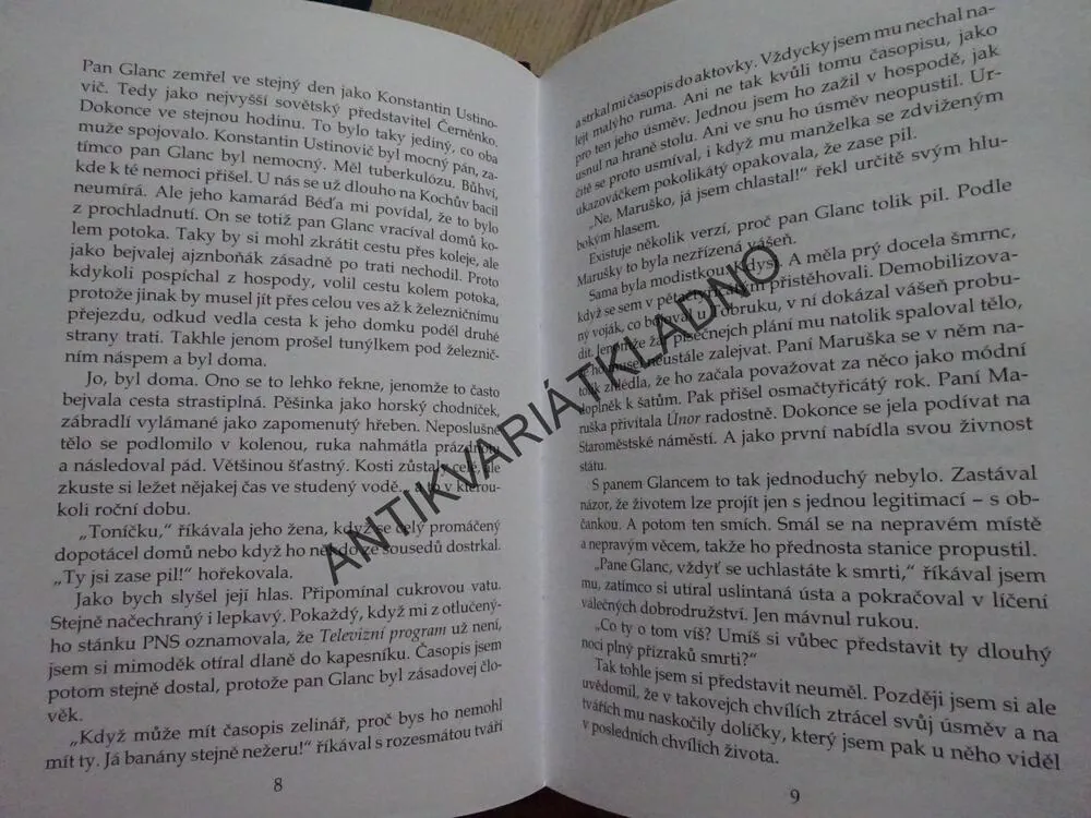 VRAŽDA BEZ VINY, JAROSLAV HAIDLER, **an